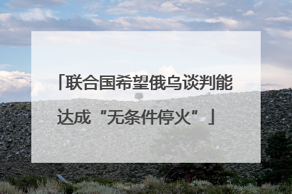 联合国希望俄乌谈判能达成“无条件停火”