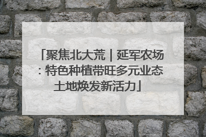聚焦北大荒｜延军农场：特色种植带旺多元业态 土地焕发新活力
