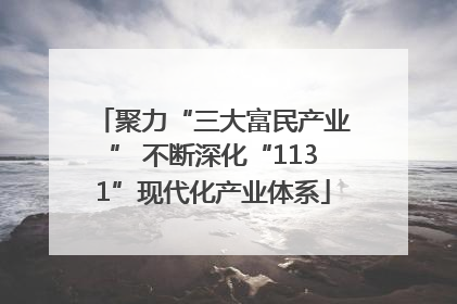 聚力“三大富民产业” 不断深化“1131”现代化产业体系