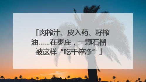 肉榨汁、皮入药、籽榨油……在枣庄，一颗石榴被这样“吃干榨净”