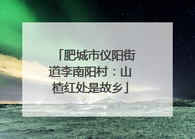 肥城市仪阳街道李南阳村：山楂红处是故乡