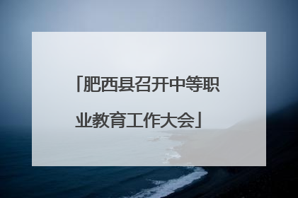 肥西县召开中等职业教育工作大会