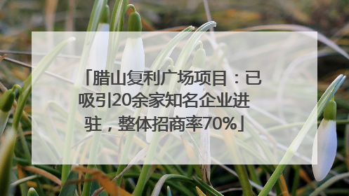 腊山复利广场项目：已吸引20余家知名企业进驻，整体招商率70%