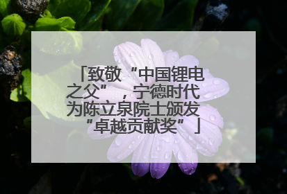 致敬“中国锂电之父”，宁德时代为陈立泉院士颁发“卓越贡献奖”