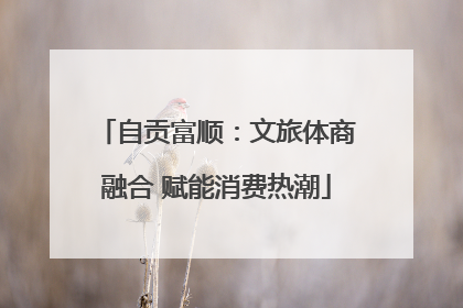 自贡富顺：文旅体商融合 赋能消费热潮