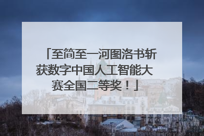 至简至一河图洛书斩获数字中国人工智能大赛全国二等奖！