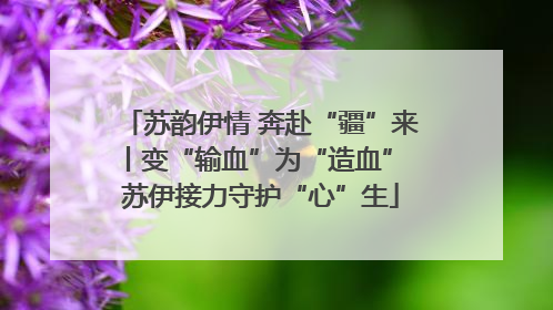 苏韵伊情 奔赴“疆”来丨变“输血”为“造血” 苏伊接力守护“心”生