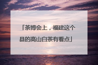 茶博会上，福建这个县的高山白茶有看点