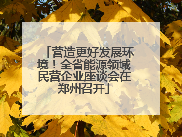 营造更好发展环境！全省能源领域民营企业座谈会在郑州召开