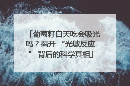 葡萄籽白天吃会吸光吗？揭开 “光敏反应” 背后的科学真相