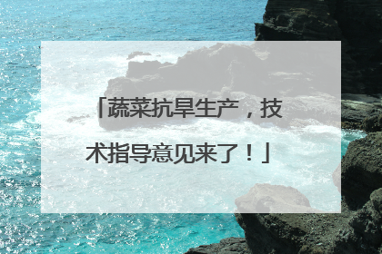 蔬菜抗旱生产，技术指导意见来了！