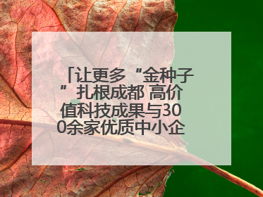 让更多“金种子”扎根成都 高价值科技成果与300余家优质中小企业精准对接