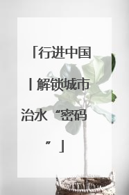 行进中国丨解锁城市治水“密码”