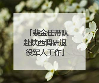 裴金佳带队赴陕西调研退役军人工作