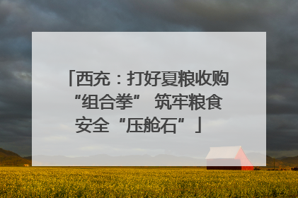 西充：打好夏粮收购“组合拳” 筑牢粮食安全“压舱石”