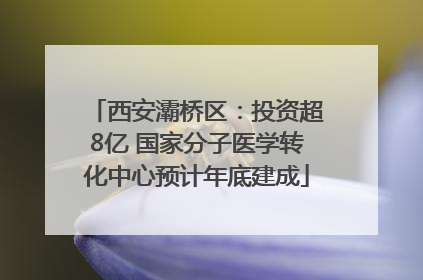 西安灞桥区：投资超8亿 国家分子医学转化中心预计年底建成