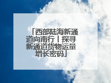 西部陆海新通道向南行丨探寻新通道货物运量增长密码
