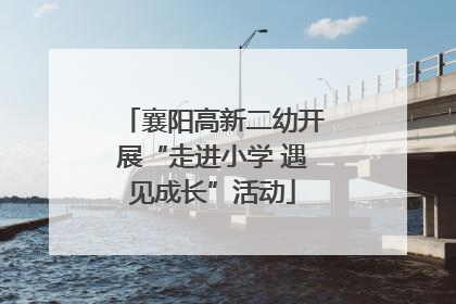 襄阳高新二幼开展“走进小学 遇见成长”活动
