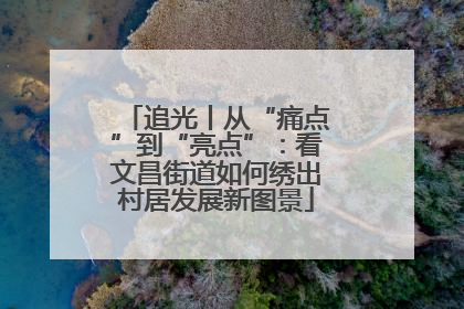 追光丨从“痛点”到“亮点”：看文昌街道如何绣出村居发展新图景