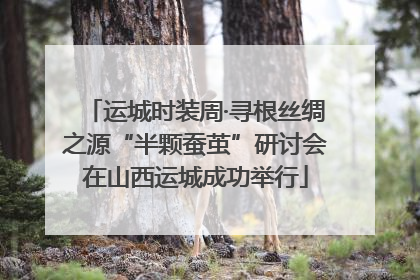 运城时装周·寻根丝绸之源“半颗蚕茧”研讨会在山西运城成功举行