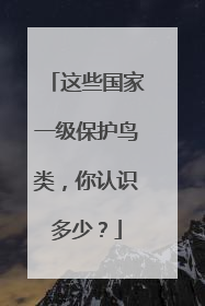 这些国家一级保护鸟类，你认识多少？