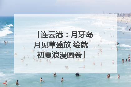 连云港：月牙岛月见草盛放 绘就初夏浪漫画卷