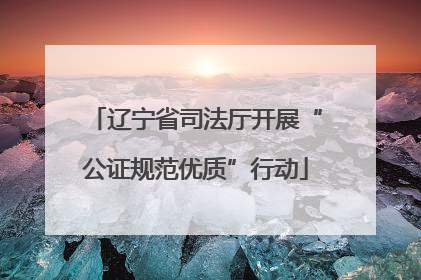 辽宁省司法厅开展“公证规范优质”行动