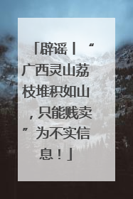 辟谣丨“广西灵山荔枝堆积如山，只能贱卖”为不实信息！