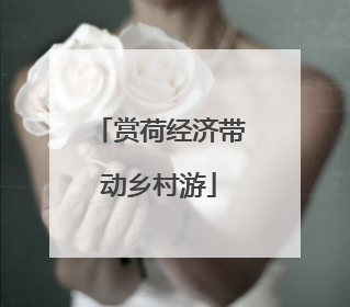 赏荷经济带动乡村游