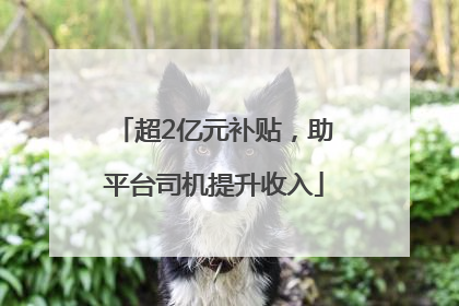 超2亿元补贴，助平台司机提升收入