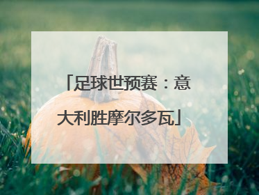足球世预赛：意大利胜摩尔多瓦
