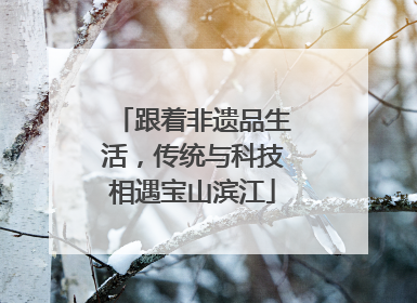 跟着非遗品生活，传统与科技相遇宝山滨江