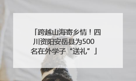 跨越山海寄乡情！四川资阳安岳县为500名在外学子“送礼”