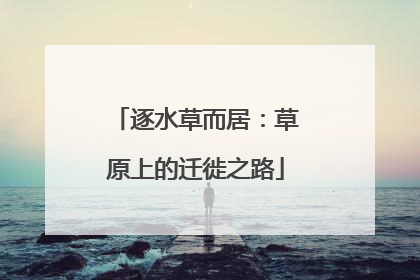逐水草而居：草原上的迁徙之路