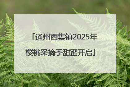 通州西集镇2025年樱桃采摘季甜蜜开启