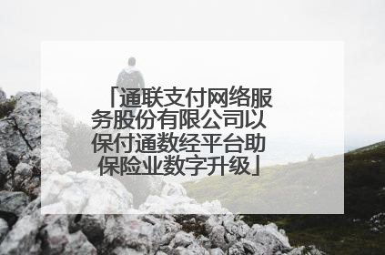通联支付网络服务股份有限公司以保付通数经平台助保险业数字升级