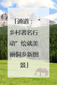 通道：“乡村著名行动”绘就美丽侗乡新图景
