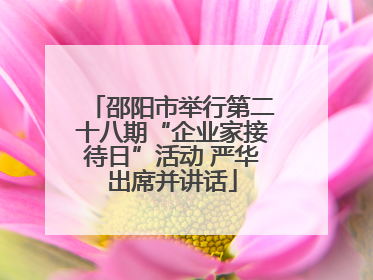 邵阳市举行第二十八期“企业家接待日”活动 严华出席并讲话