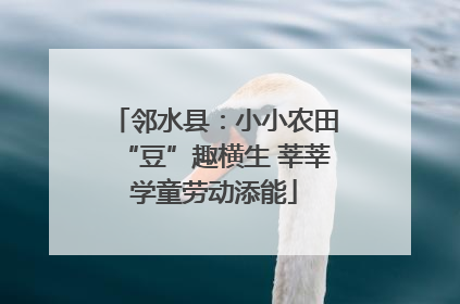 邻水县：小小农田“豆”趣横生 莘莘学童劳动添能