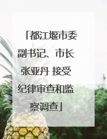 都江堰市委副书记、市长张亚丹 接受纪律审查和监察调查