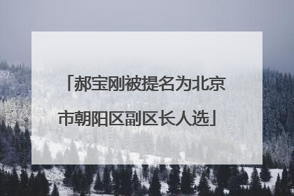郝宝刚被提名为北京市朝阳区副区长人选