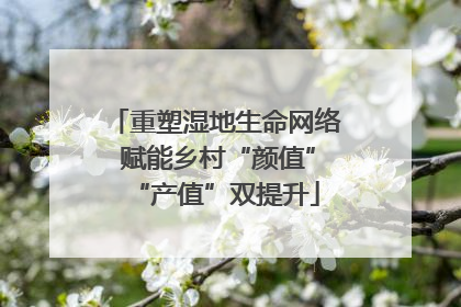 重塑湿地生命网络 赋能乡村“颜值”“产值”双提升