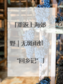 重返上海郊野｜无斑雨蛙“回乡记”