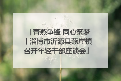 青燕争锋 同心筑梦丨淄博市沂源县燕崖镇召开年轻干部座谈会