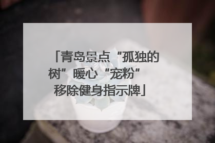 青岛景点“孤独的树”暖心“宠粉” 移除健身指示牌