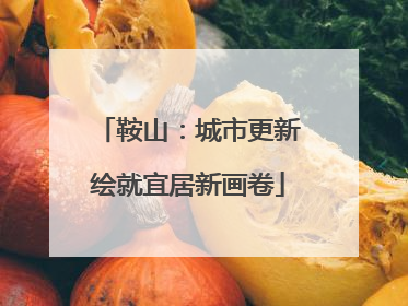鞍山：城市更新绘就宜居新画卷