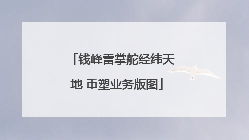 钱峰雷掌舵经纬天地 重塑业务版图