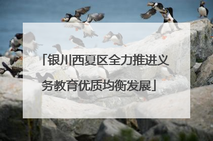 银川西夏区全力推进义务教育优质均衡发展