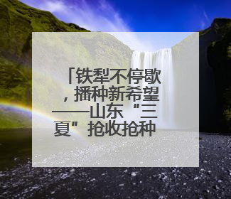 铁犁不停歇，播种新希望——山东“三夏”抢收抢种忙