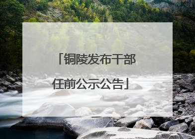 铜陵发布干部任前公示公告